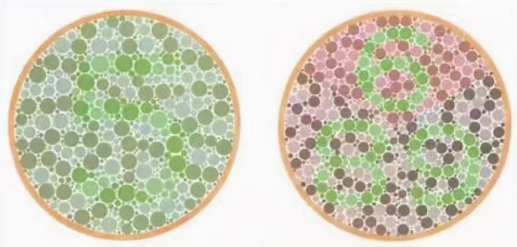 了解色盲和色弱