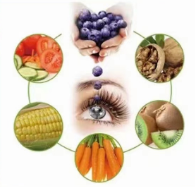 吃魚眼對眼睛真的有好處嗎?