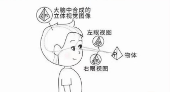 常說的“視功能”是什么?